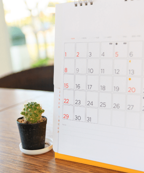 Prendre rendez-vous en kinésiologie à Marseille, consultation rapide et bien-être émotionnel durable